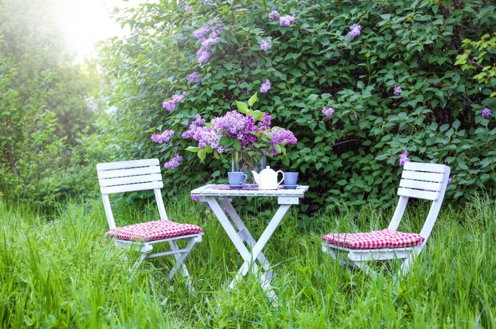 Flieder für einen Sitzplatz im Blütenmeer